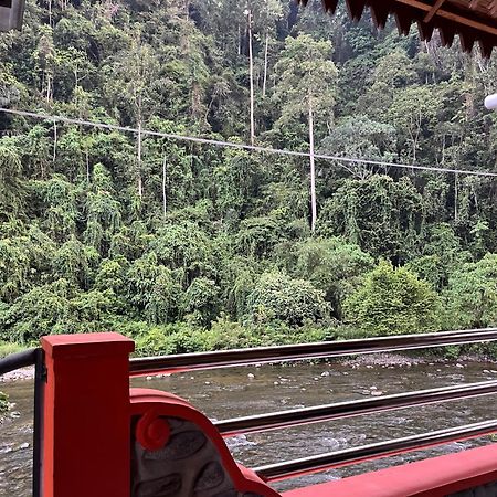 Ridho'S Homestay & Jungle Trekking Bukit Lawang Exteriér fotografie
