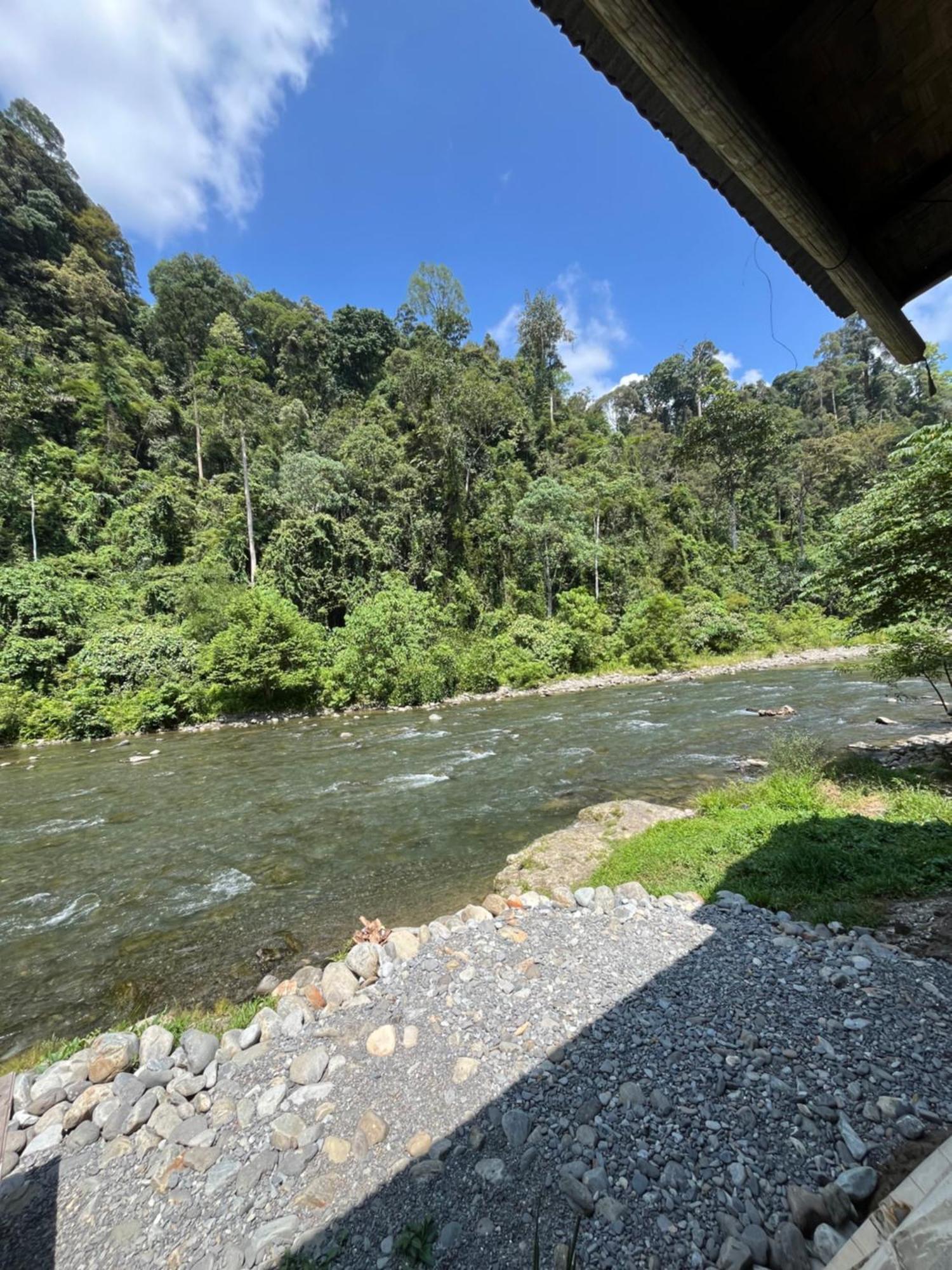 Ridho'S Homestay & Jungle Trekking Bukit Lawang Exteriér fotografie