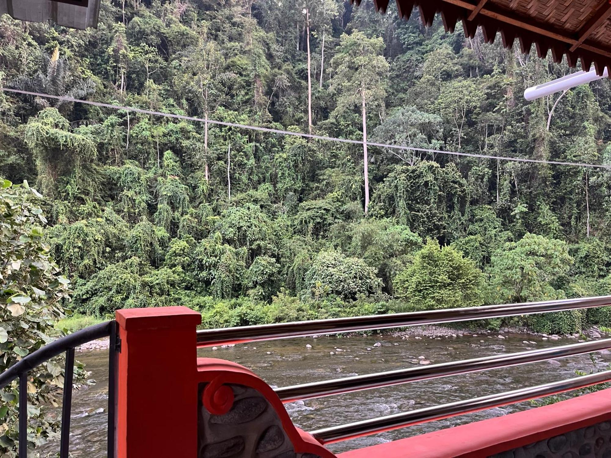 Ridho'S Homestay & Jungle Trekking Bukit Lawang Exteriér fotografie